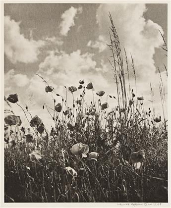 LAURE ALBIN-GUILLOT. Ciels.